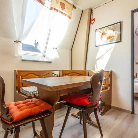 Apartment Traditionnel Au Style Alsacien Mulhouse